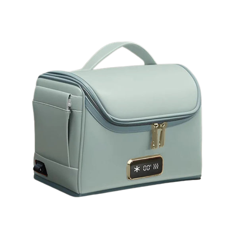 Portable 4L Car Fridge Cooler and Warmer Bag 12V Compact Travel Food Storage
