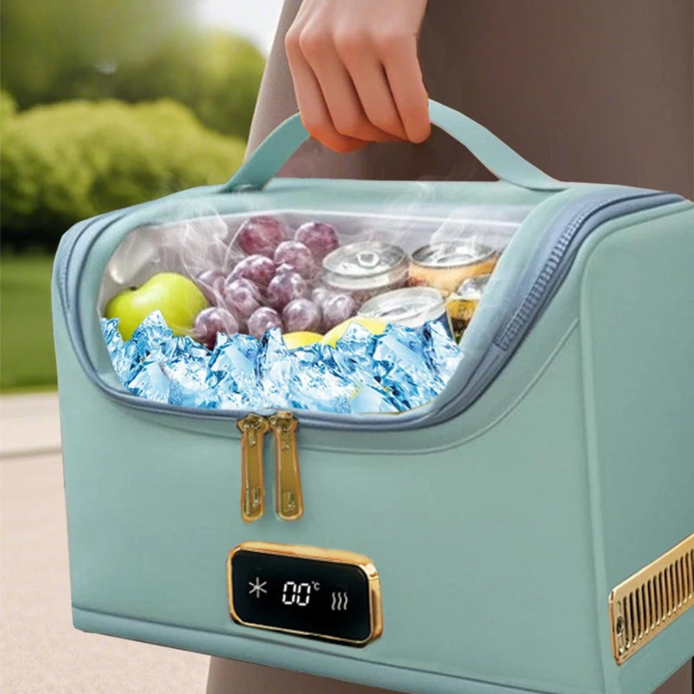 Portable 4L Car Fridge Cooler and Warmer Bag 12V Compact Travel Food Storage